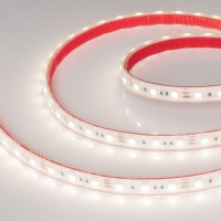 Лента герметичная RTW-PS-B60-12mm 12V Day4000 (14.4 W/m, IP67, 5060, 5m)