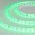 Герметичная лента RTW 2-5000SE 24V Green 2x (5060, 300 LED, LUX)