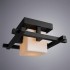 Потолочный светильник Woods E27 черный A8252PL-1CK