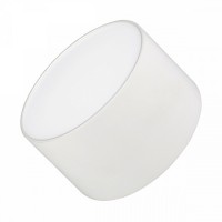 Накладной светильник SP-RONDO-120A-12W Day White