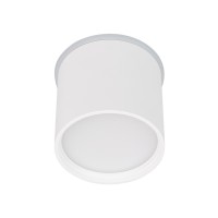 Накладной светильник SP-CYLINDO-R75-7W Day4000 (WH, 110 deg, 230V)
