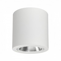 Накладной светильник SP-FOCUS-R140-30W Day White