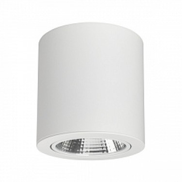 021428 SP-FOCUS-R140-30W Day White