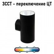 Arte Lamp A6109AL-2BK