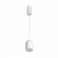 Подвесной светильник SP-ELEMENTA-DOME-R71-9W Warm3000 (WH, 39 deg, 230V)