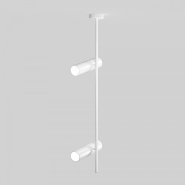 Maytoni Elti C021CL-02W