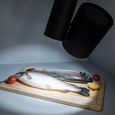 Трековый светильник для рыбы LGD-SHOP-4TR-R100-40W Cool SP7500-Fish (BK, 24 deg)