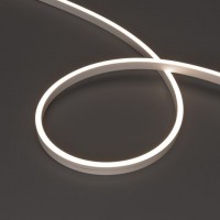 Гибкий неон MOONLIGHT-SIDE-A120-06x12mm 24V Day4000 (9.6 W/m, IP65, 5m, wire x2)
