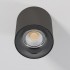 Потолочный светильник Primo 25116/LED 12W 4000K титан