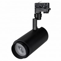 Светильник для зеленых фруктов и овощей LGD-ZEUS-4TR-R100-30W Day SP5000-Veg (BK, 20-60 deg, 230V)
