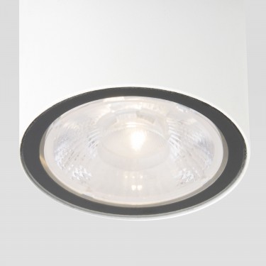 Уличный потолочный светильник 35131/H Light 4000К белый