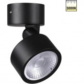 Novotech Focus 359586