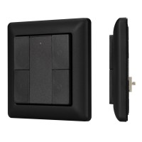Встраиваемая черная панель DALI-223-2G-DIM-IN-BLACK (BUS)