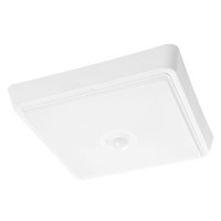 Светильник для ЖКХ с ИК-датчиком 25W 6500K Feron AL3023 41805