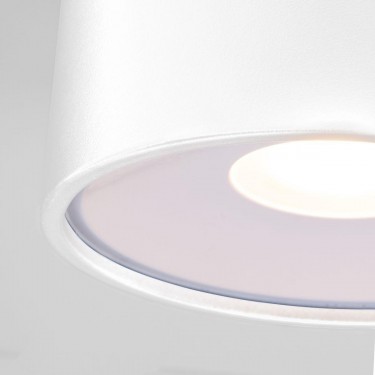 Уличный потолочные светильник 35141/H Light Led  4000К белый