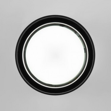 Потолочный светильник Light 26231 35144/H черный Потолочный светильник Light 26231 35144/H черный