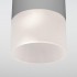 Уличный потолочный светильник 35139/H Light Led серый