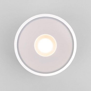 Уличный потолочные светильник 35141/H Light Led  4000К белый