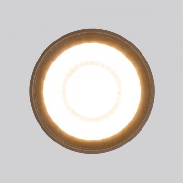 Уличный потолочный светильник 35132/H Light Led 4000К черный