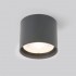Уличный потолочный светильник 35132/H Light Led 4000К серый