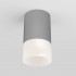 Уличный потолочный светильник 35139/H Light Led серый