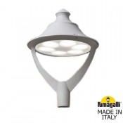 Beppe P50.000.000.LXD6L